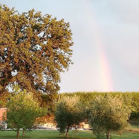Antico Gioiello Umbro , Con Terrazza アパート フォリーニョ