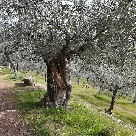 Antico Gioiello Umbro , Con Terrazza フォリーニョ