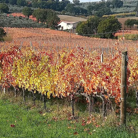 Antico Gioiello Umbro , Con Terrazza Appartamento Foligno