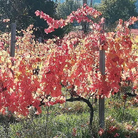 Antico Gioiello Umbro , Con Terrazza *
